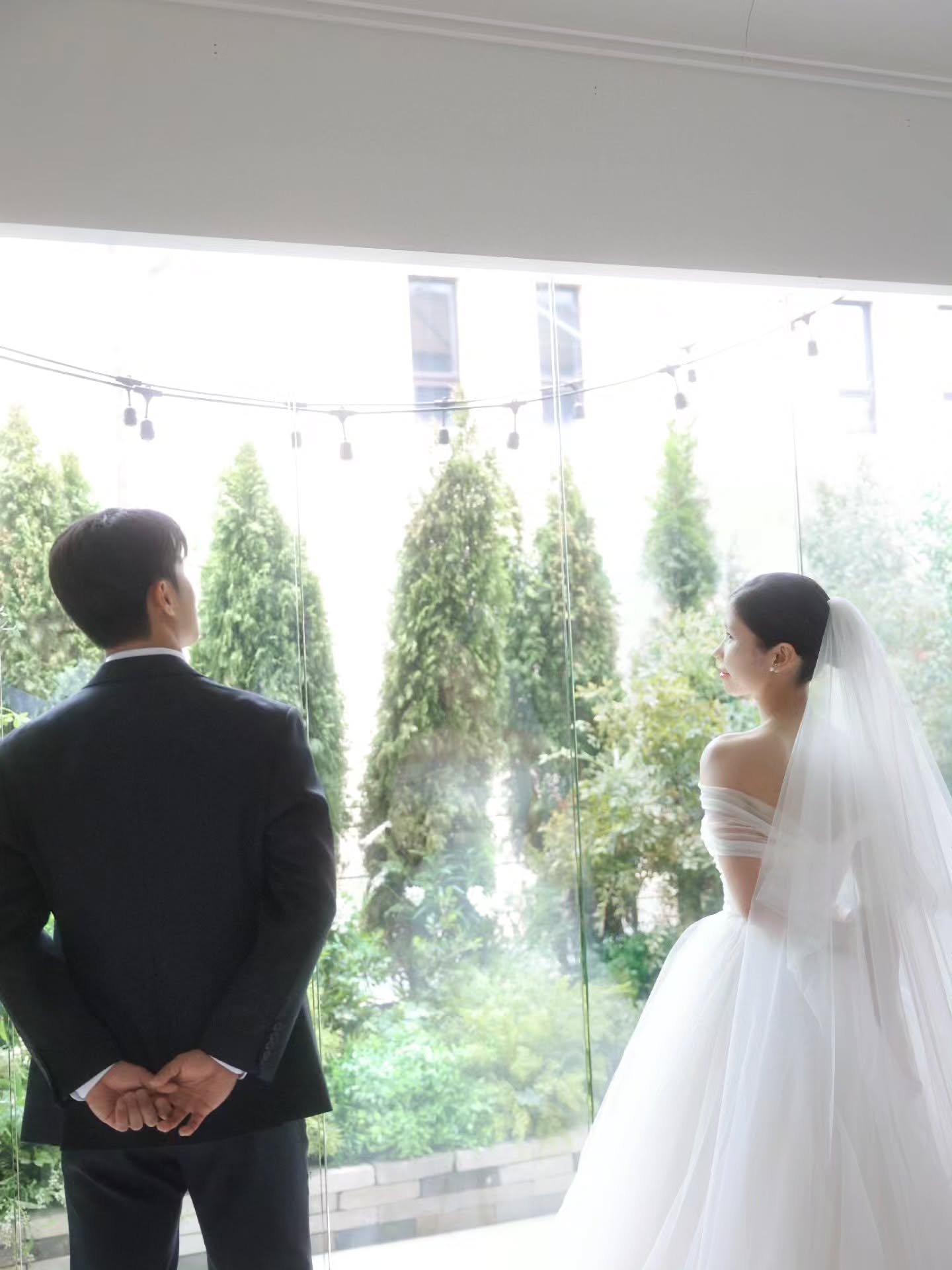 비마이