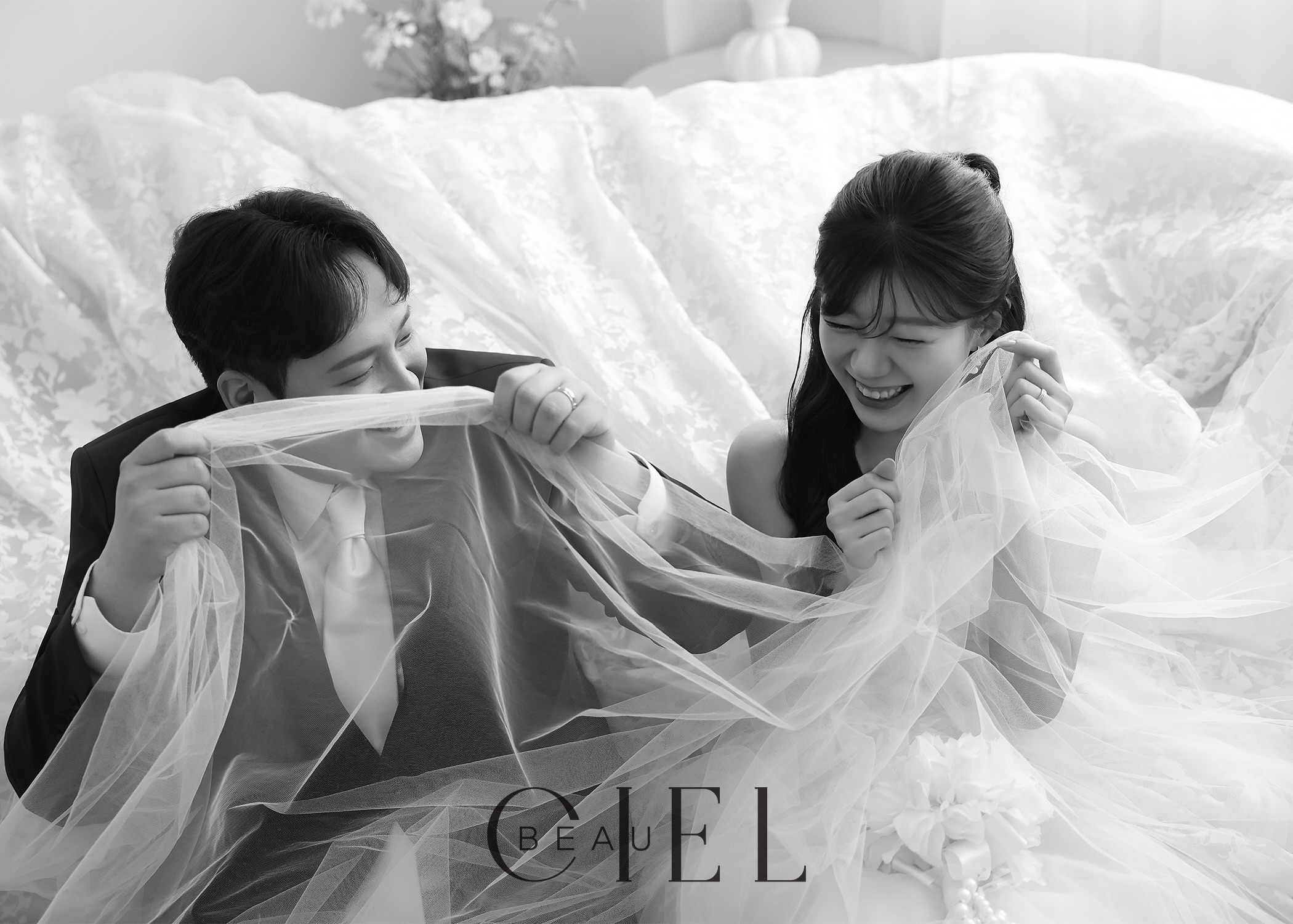 뷰시엘
