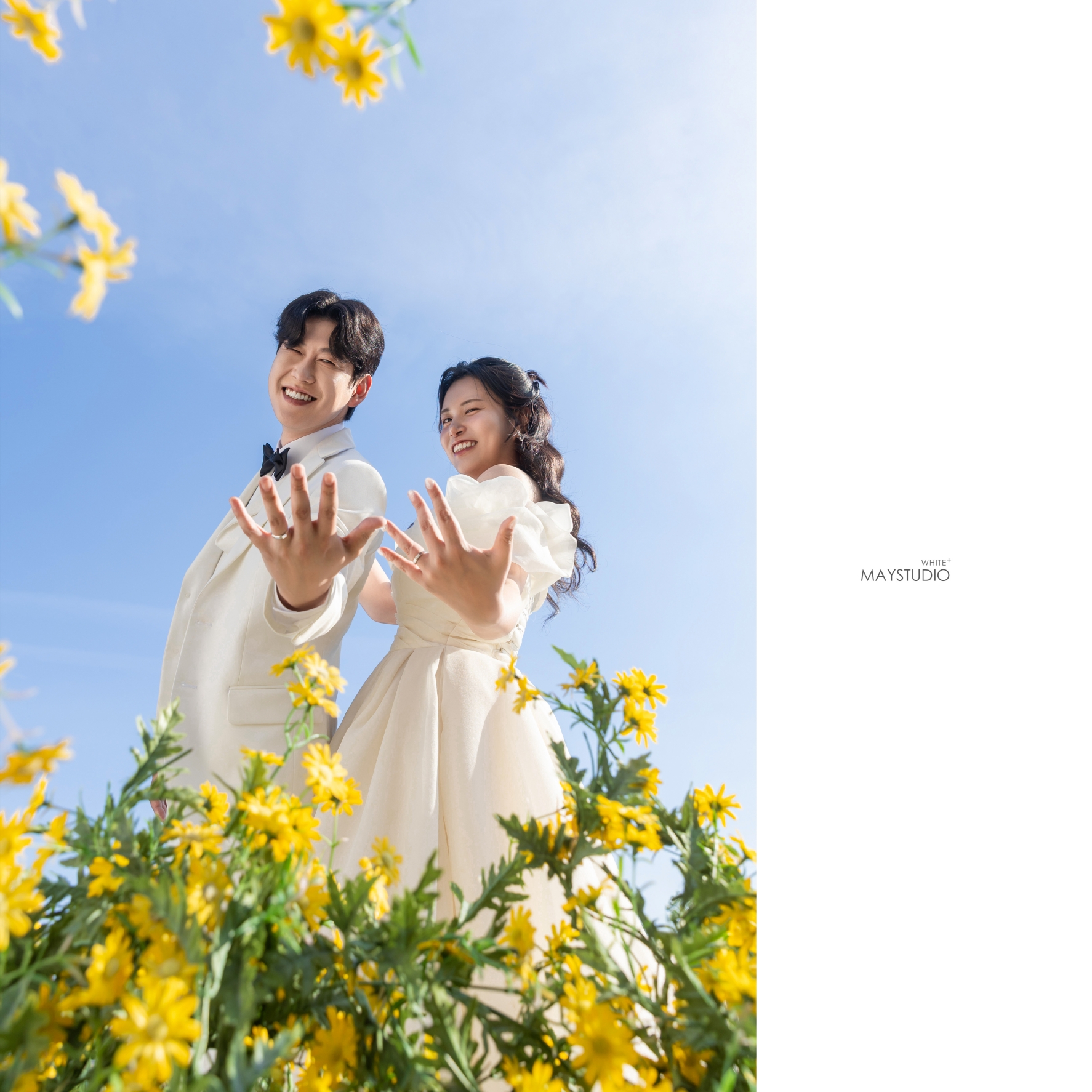 메이 스튜디오